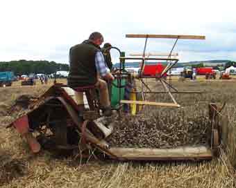 John Deere Model D 1948 with International McCormick Binder