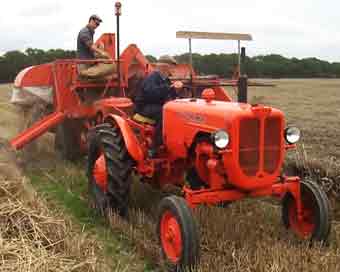 Traction engine drives thresher