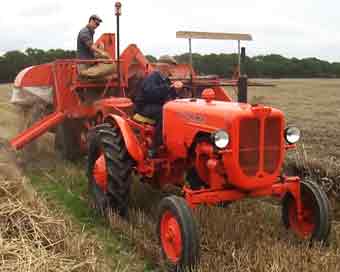 Allis Chalmers Allcrop 60