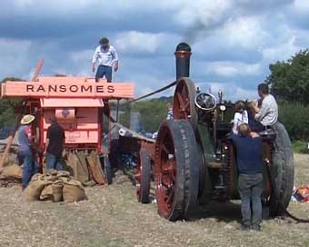 Traction engine drives thresher